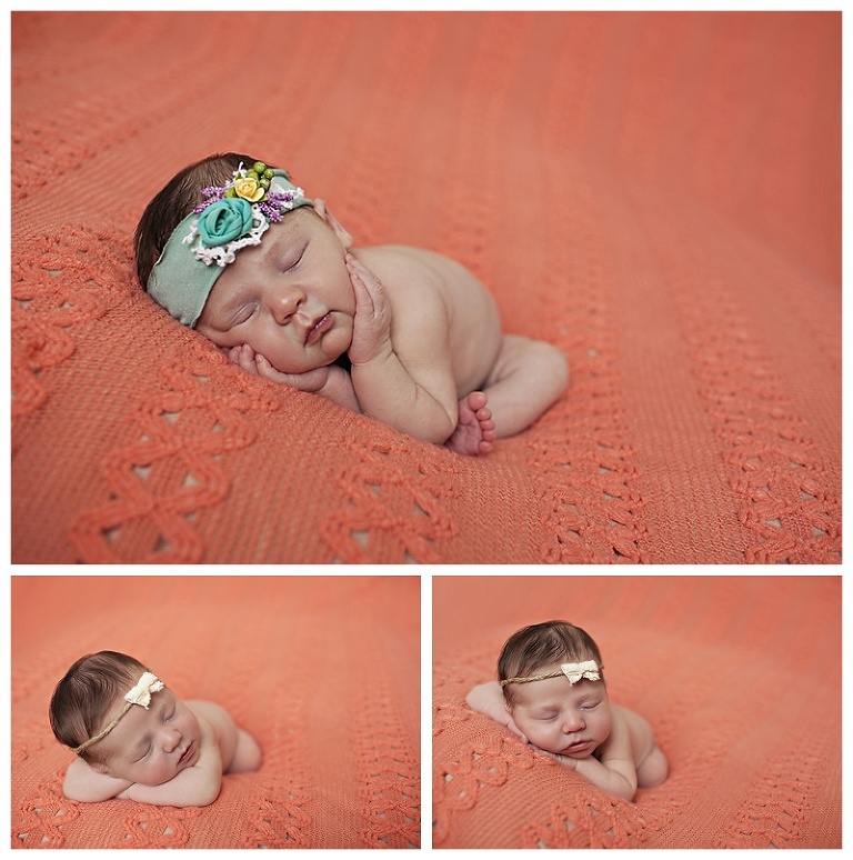Avalee new baby photos in tampa
