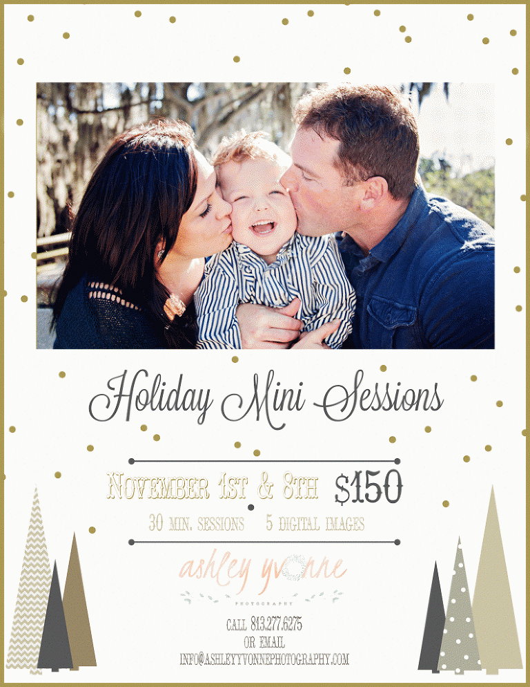 Promotional Holiday Mini Session Photographer in Tampa