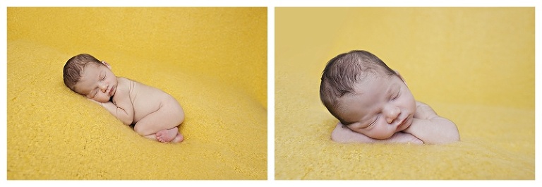 yellow background newborn tampa photo