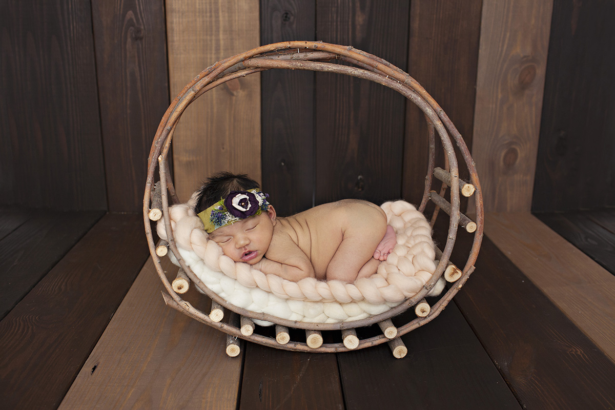 Infant Newborn Session Photographs