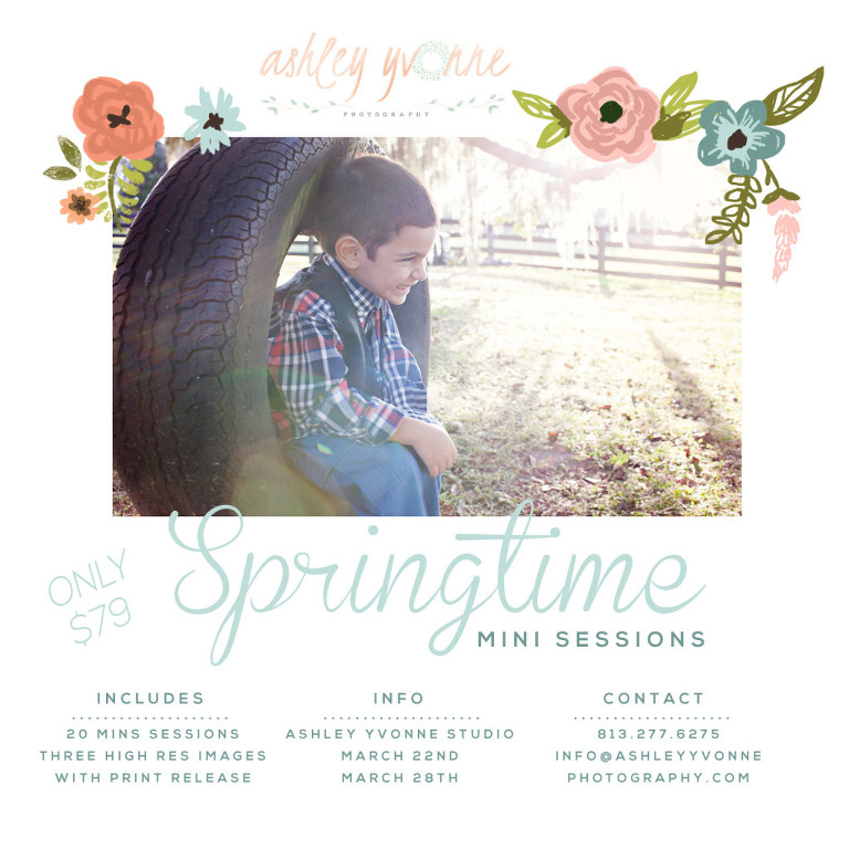 article invitation for 2015 for Springtime Mini Session