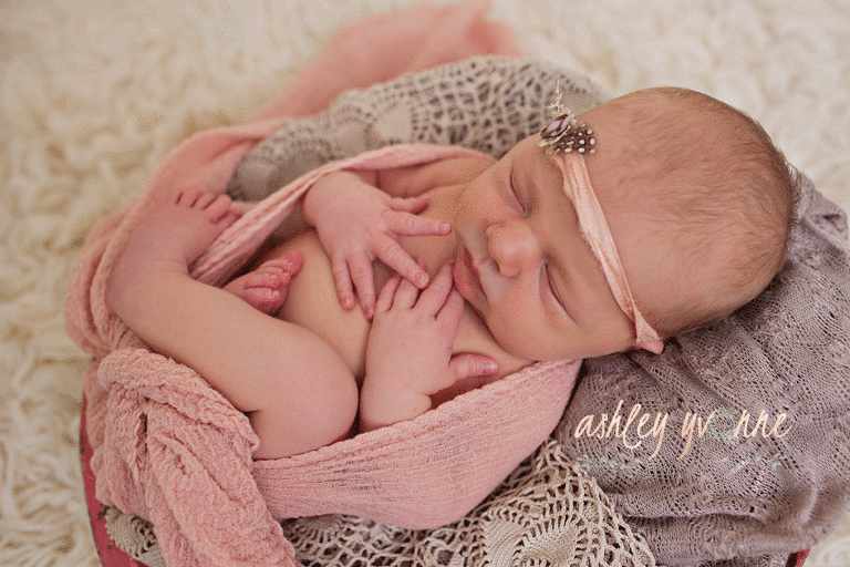 baby girl in grey and pink photo
