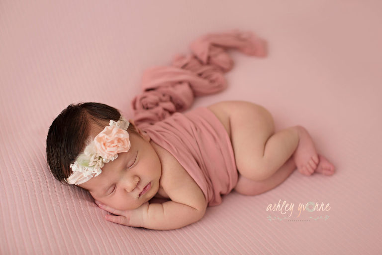 westchase newborn photographer